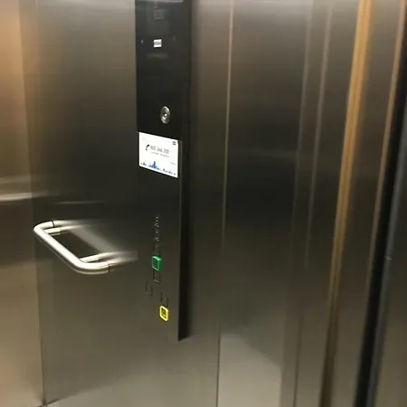 Seagull グダニスク